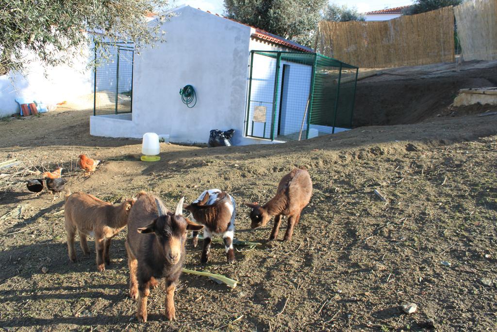Hotel O Gato & Spa Odivelas  Dış mekan fotoğraf